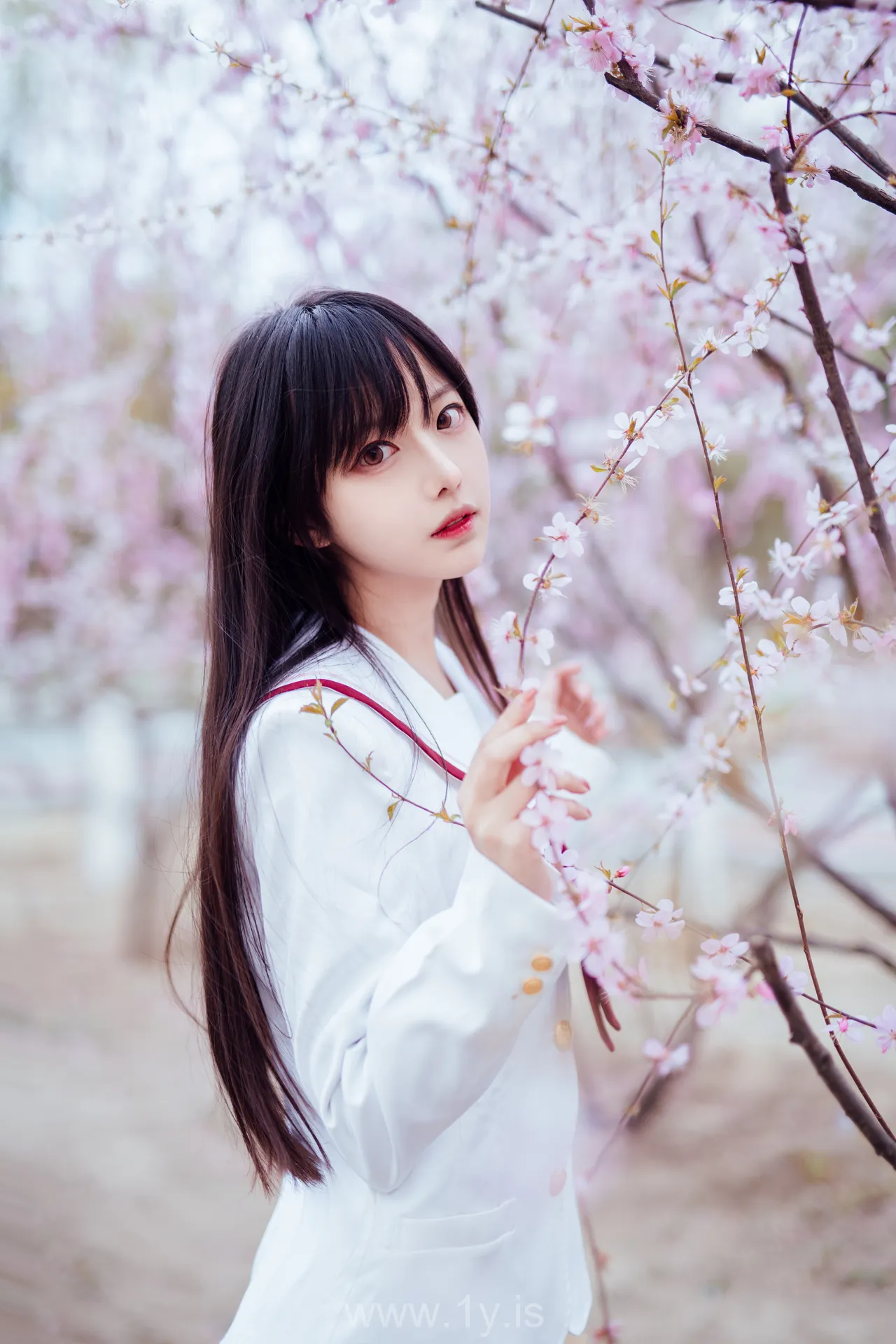 Coser@Shika小鹿鹿 NO.034 Appealing & Beautiful Chinese Hottie 樱花